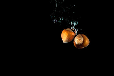 Hazelnuts in shell in water with air bubbles water splash isolated on blackの写真素材