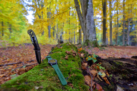 Male set - knives and watches. Black knife and smart watch in autumn forrestの写真素材