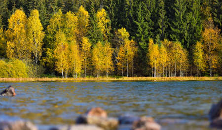 Autumn park landscape. The bright colors of autumn in the park by the lakeの写真素材
