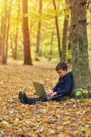 Little boy with laptop in forest, autumn colors, sunset warm light