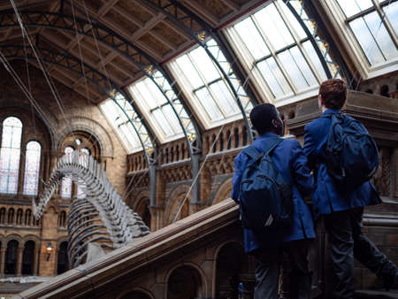 Studentsâ wearing blue jacket interestedlyâ lookingâ atâ huge Blueâ Whaleâ skeletonâ asâ exhibitedâ inâ Naturalâ Historyâ Museum, London.â Shotâ onâ 13feb2019.のeditorial素材