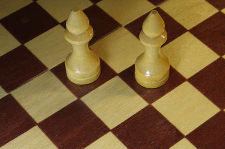 chess, two white queen