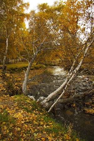 Ba Shang in Chinaの写真素材