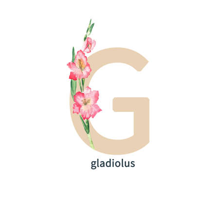 Letter G, giragffe, pink gladiolus, flower ABC alphabet. Watercolor illustration isolated on white background.の写真素材
