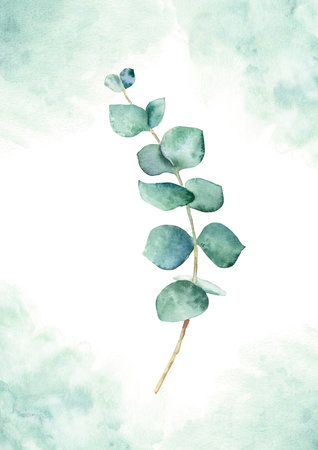 Eucalyptus branch on green watercolor splashes. Watercolor hand drawn botanical illustration. Eco minimalistic style for greeting card, poster.の写真素材