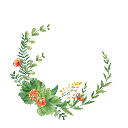 Cloudberry wreath, leaves, berries, green branches and yellow flowers isolated on white background. Watercolor hand drawn illustration. For greeting cards, invitations, save the date, logos.の写真素材