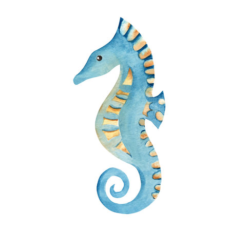 Watercolor hand drawn seahorse isolated on white background. Marine underwater design element for card, poster, print. Summer sea clipart.の写真素材