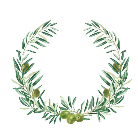 Watercolor olive wreath with green olives. Isolated on white background. Hand drawn botanical illustration. Can be used for cards, emblem, logos and food design.の写真素材