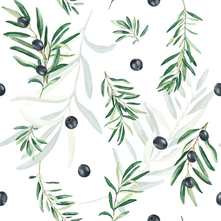 Watercolor seamless pattern with branches of black olives on a white background. Can be used for textile, wallpaper prints, kitchen, food and cosmetic design.の写真素材
