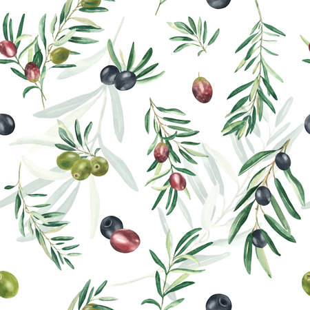 Watercolor seamless pattern with branches of green, black and red olives on a white background. Can be used for textile, wallpaper prints, kitchen, food and cosmetic design.の写真素材