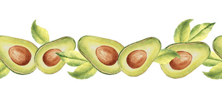 Avocado horizontal Watercolor Seamless Border Pattern. Hand drawn botanical illustration. Can be...