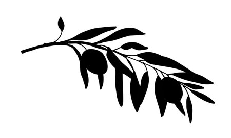 Olive Branch Silhouette isolated on white background. Hand drawn Vector Graphic illustration. Can be used for cards, logos and labels designのイラスト素材
