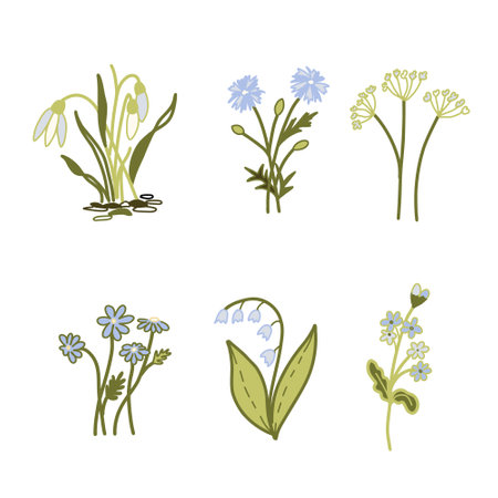 Vector Floral set, delicate Flowers in blue and green colors. Snowdrop, Daisy, Lily of the valley, Forget-me-not, Cornflower. Minimalist drawing Doodle style Plants isolated on white background. Ideal for creative botanical decoration.のイラスト素材