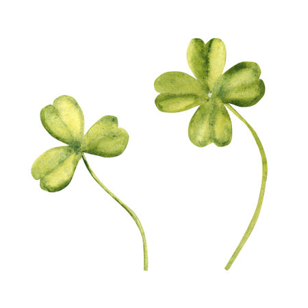 Clover with four and three leaves set. Sign or symbol of Luck. Hand drawn Watercolor floral illustration for St Patrick Day. Irish traditional ornament for greeting cards and prints.の写真素材