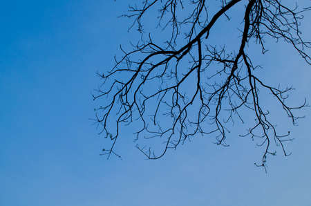 blue sky have cloud in winter season ,thai land ,have feeling happyの写真素材