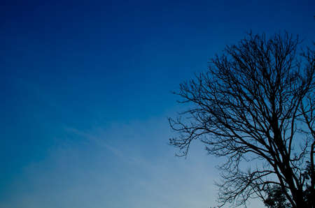 blue sky have cloud in winter season ,thai land ,have feeling happyの写真素材