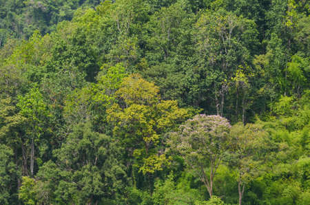 Klong lan Waterfall is big waterfall in thailand ,province Kampang phed