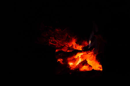 the bonfire is burning firewood in forest