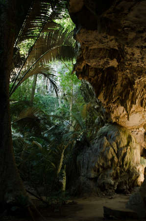 Hub Pa Tad is sink hole  in Uthai tani Province  and is unseen of Thailandの写真素材