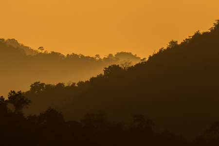 view of forest in thailand and  sky is many colour at sunset .の写真素材