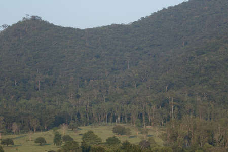 view of forest in thailand and  sky is many colour at sunset .の写真素材