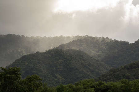 top view of forest in thailand and blue sky. some  areas is change ground to agricultureの写真素材