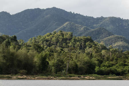 top view of forest in thailand and blue sky. some  areas is change ground to agricultureの写真素材