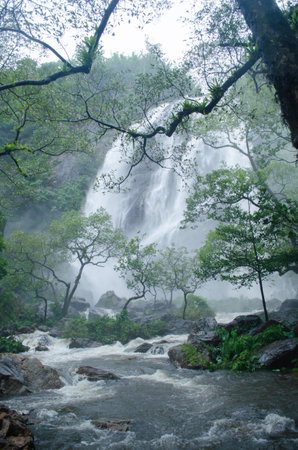 In rain season. Thailand had strong rainny in the forest . Then river had many water to waterfall.の写真素材