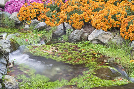 Small waterfallの写真素材