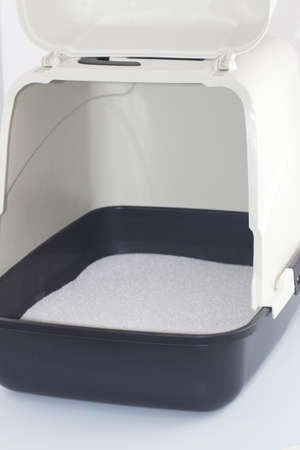 Cat litterの写真素材