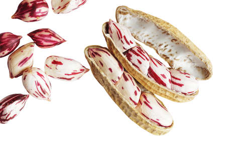 Fresh peanuts isolated on white background, clipping path included