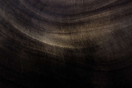 Dark wood texture abstract background, curve and crack wood texture.の写真素材