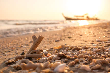 Coral fragments and sea debris on golden beach morning sunlight with sparkle sand and sea bokeh and silhouette fishing boat blurred background.の写真素材