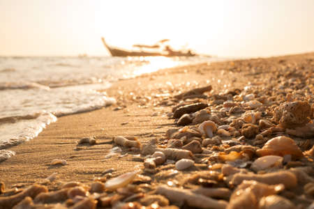 Sea shells and coral fragments sea debris on golden beach morning sunlight with sparkle sand and sea bokeh and silhouette fishing boat blurred background.の写真素材