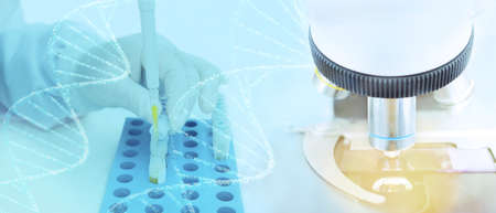 Medical laboratory background, technician researcher's hand in latex glove pipetting human blood...