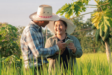 Happy Asian farmer couple using digital tablet monitoring and  managing rice field and organic farm....