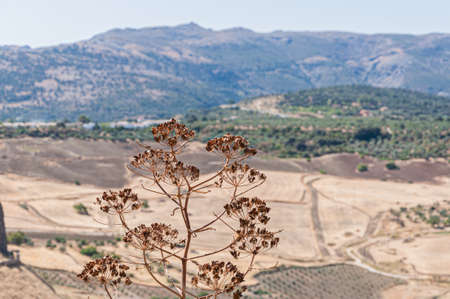 Vistas of the gorge, mountains and Puente Nuevo can be seen from this scenic viewpoint.の写真素材