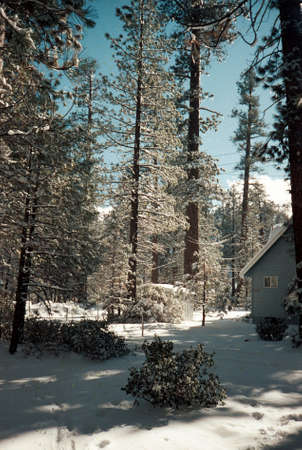 Beautiful Mountain Winter Retreat の写真素材