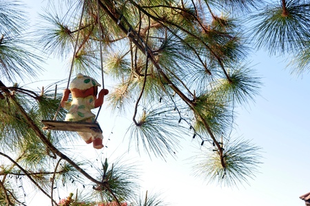 The swingの写真素材