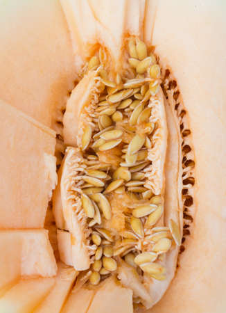 close up of ripe cantaloupe melon with seedsの写真素材