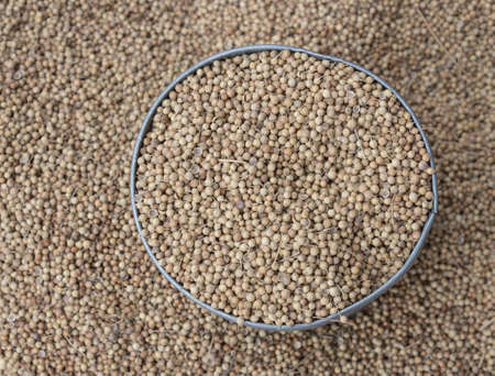 close up, coriander seeds heap in bowl top view surfaceの写真素材