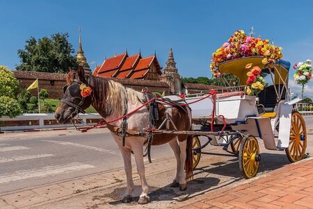 horse drawn carriage tours at the old temple in northern thailandの写真素材
