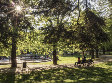 people in the park in the sunsetの写真素材