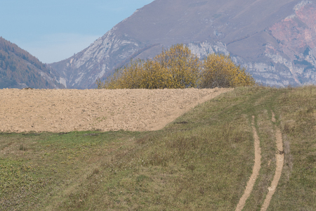 mountain in trentino italyの写真素材