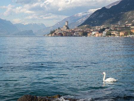 garda lake beach in malcesineの写真素材