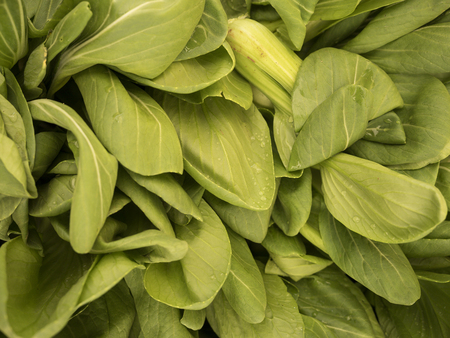 vegetables healthy foodの写真素材