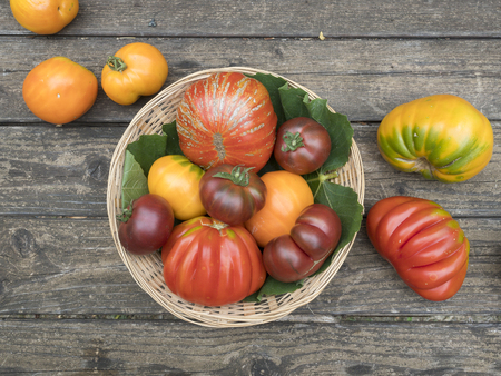 old tomatoes organic fook italian farmingの写真素材