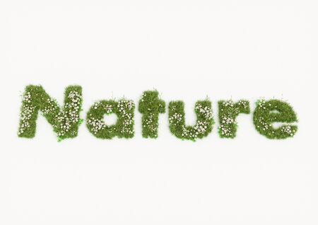 word typed by flowers and grass Natureの写真素材