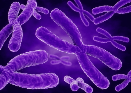 3D rendering X chromosomesの写真素材