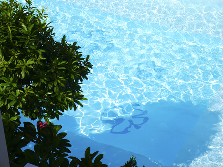 Beautiful swimming pool in top view.の写真素材